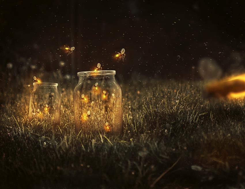 envato's tweet photo. Relive your most nostalgic memories with this stunning photo manipulation using Adobe Photoshop https://t.co/vxwiBaySoe https://t.co/Up3AW81h7Q
