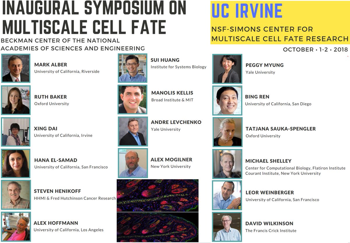 manoliskellis's tweet image. Excited to speak at the @UCIrvine Inaugural Symposium on #MultiScale #CellFate funded by the @SimonsFdn and @NSF at #UCIrvine today cellfate.uci.edu/symposium-2018/ cellfate.uci.edu/wp-content/upl… news.uci.edu/2018/05/24/new…