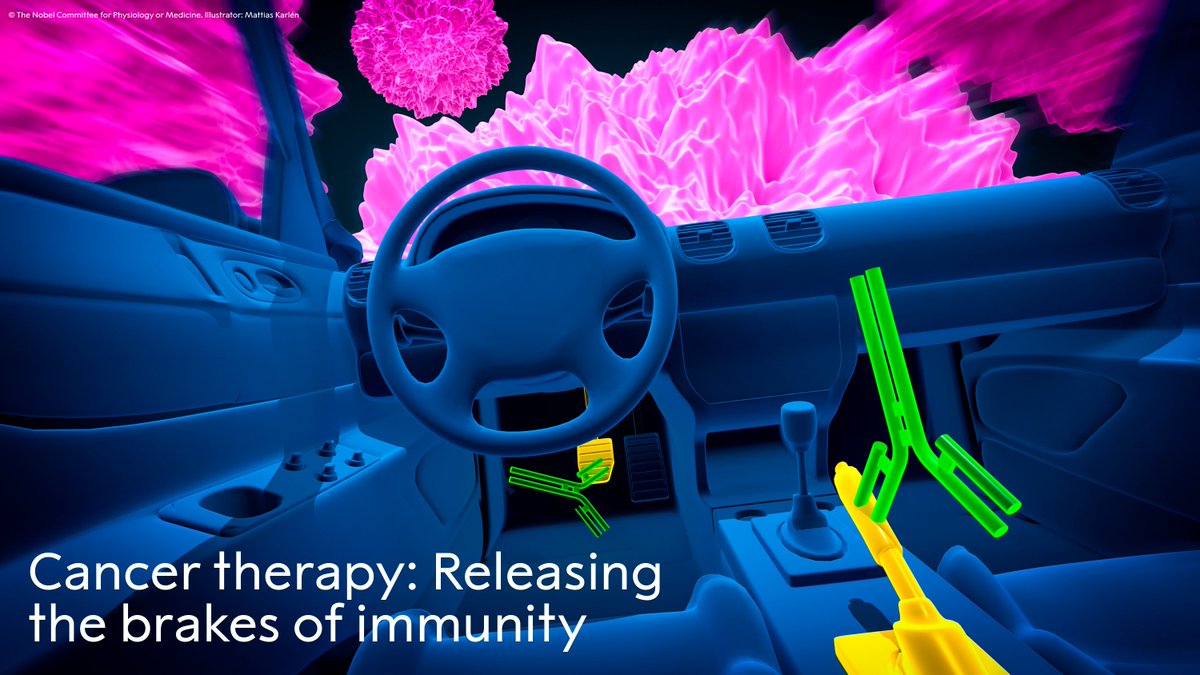 NobelPrize's tweet image. This year’s #NobelPrize constitutes a landmark in our fight against cancer. The discovery made by the two Medicine Laureates takes advantage of the immune system’s ability to attack cancer cells by releasing the brakes on immune cells.