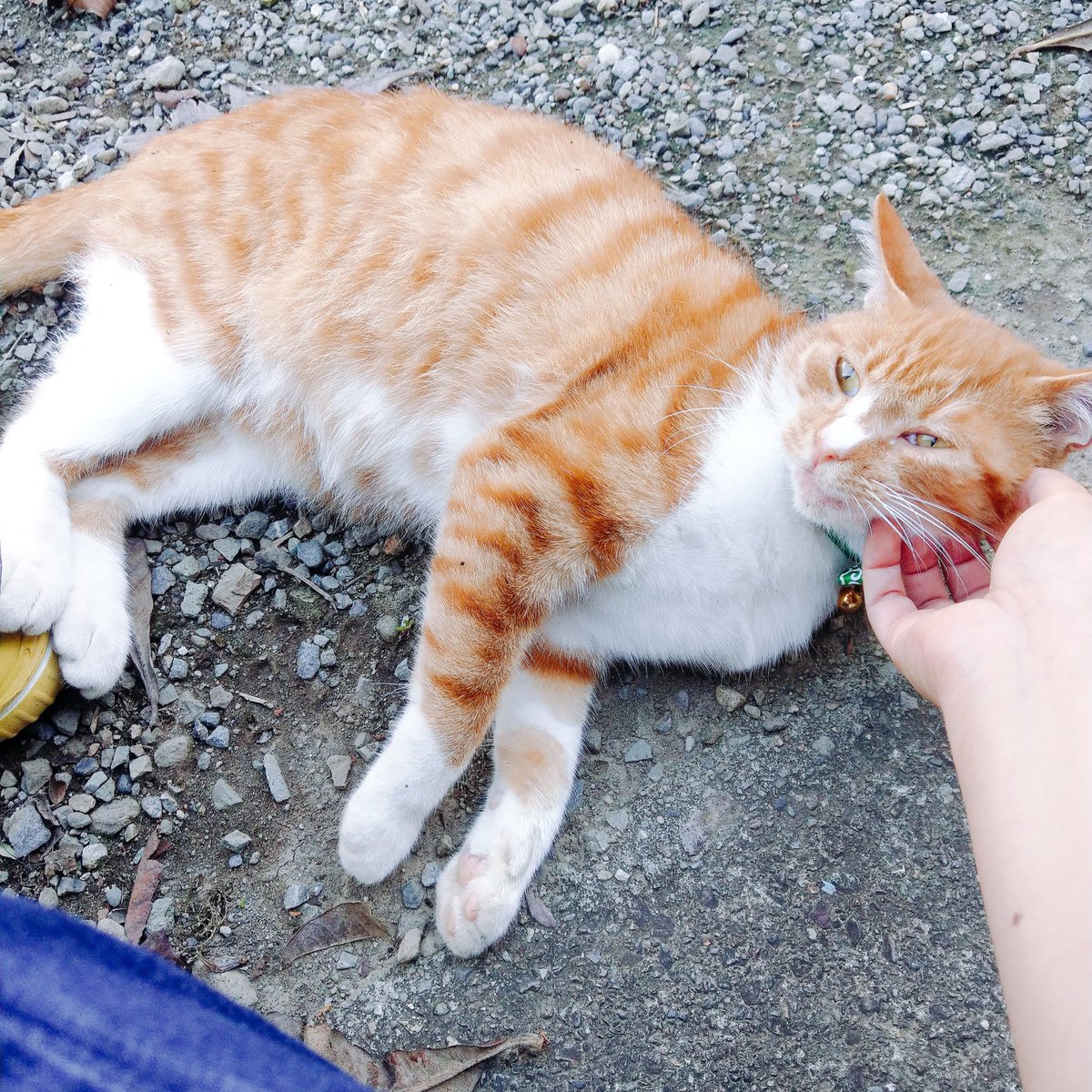 野中菜々美 (@mei_se) / Posts / X