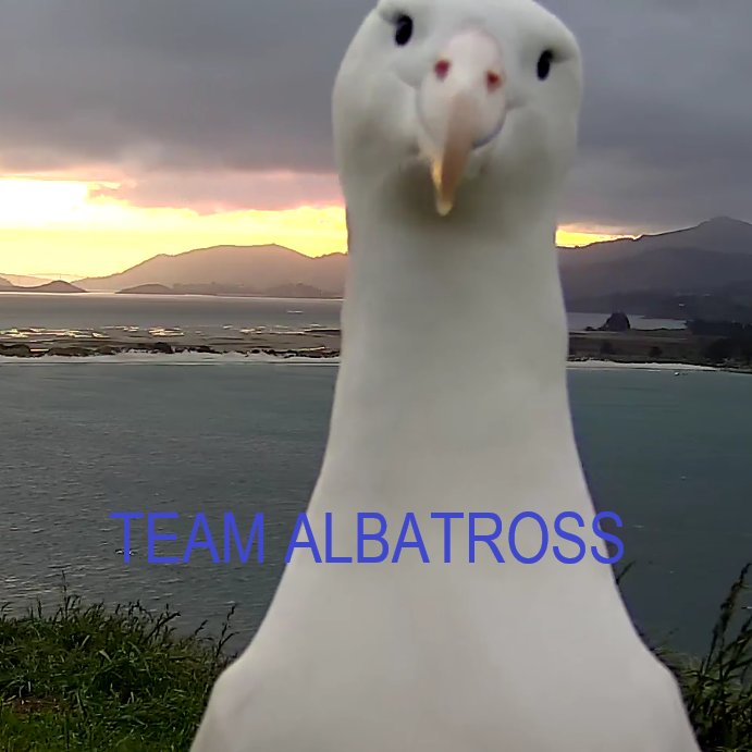 7_ohmiya's tweet photo. Yup. I voted.
https://t.co/Y8Harb3Vdp
#BirdOfTheYear #Royalcam @AlbatrossCentre https://t.co/In446BGFWD