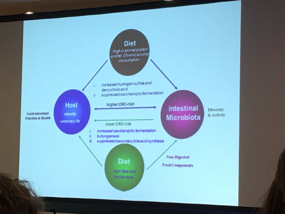 nutriestima's tweet photo. El  @DrTinahones nos aproxima esta mañana a la #microbiota en el II congreso de #nutrición en #oncologia #seor #senpe #seoc #feor #cuidatudieta #noparesdeaprender https://t.co/eXWVhWbeis