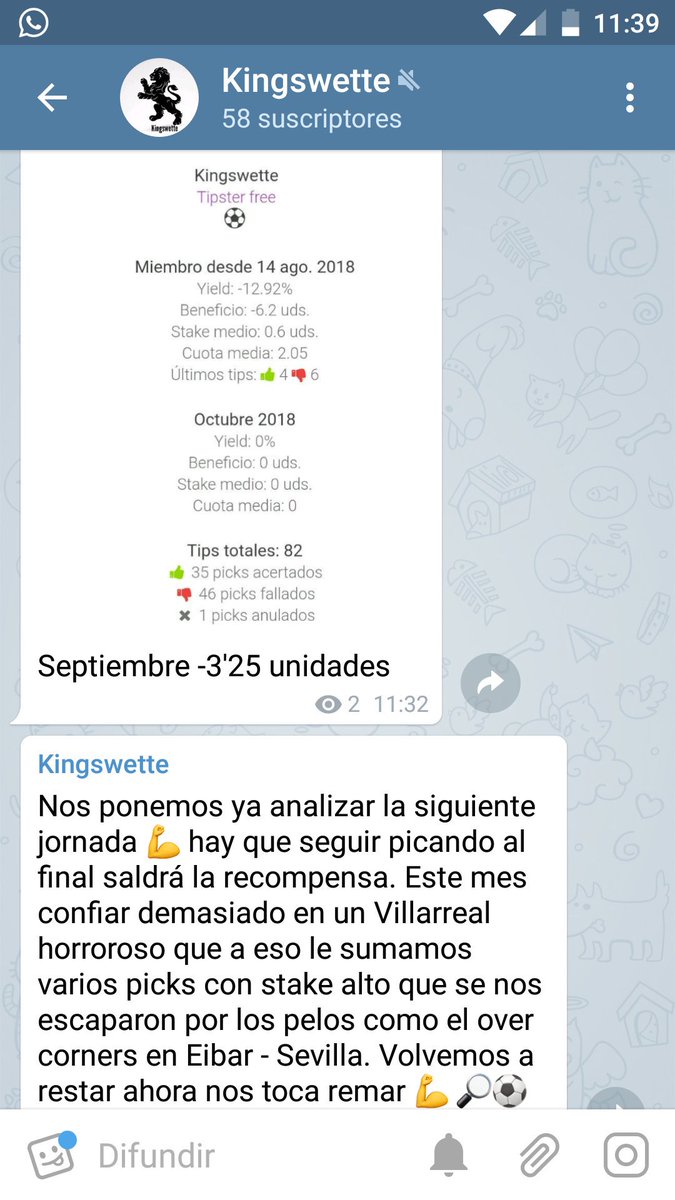 kingswette's tweet photo. Vamos a por octubre sin miedo hay que seguir 💪 https://t.co/73XE3Rl6Rn