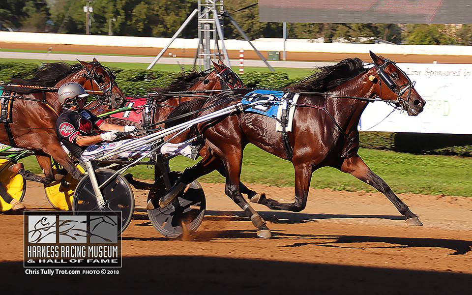 Joe_Zagari's tweet photo. #Phaetosive 🇺🇸 #ExplosiveMatter won #BluegrassSeries 🇺🇸🏆 3yo Fillies - $68,000 at @RedMileHarness with #TrondSmedshammer ⏱️1:51.3 (27.1) over #LilyStride and #Seviyorum
📸 @tullytrot https://t.co/TSJJO449eg
