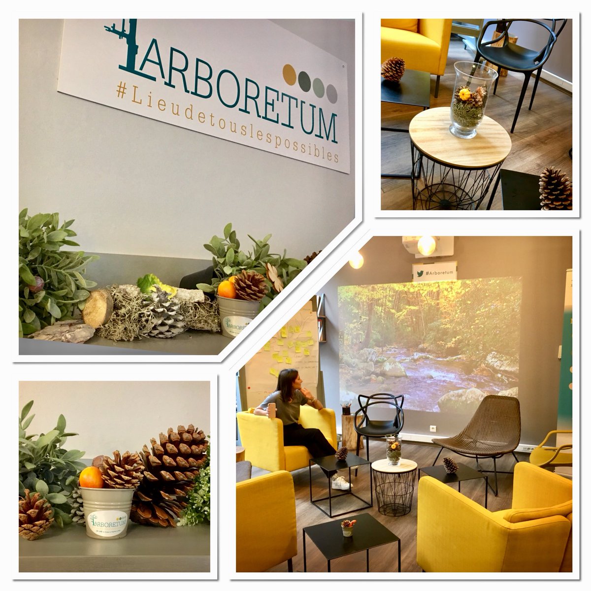 MagaliRoy3's tweet photo. #Arboretum 🌳 de @ladepechedumidi se met aux couleurs de l’automne  #connexion #zen #gazouillis https://t.co/2ojeFv1UhW