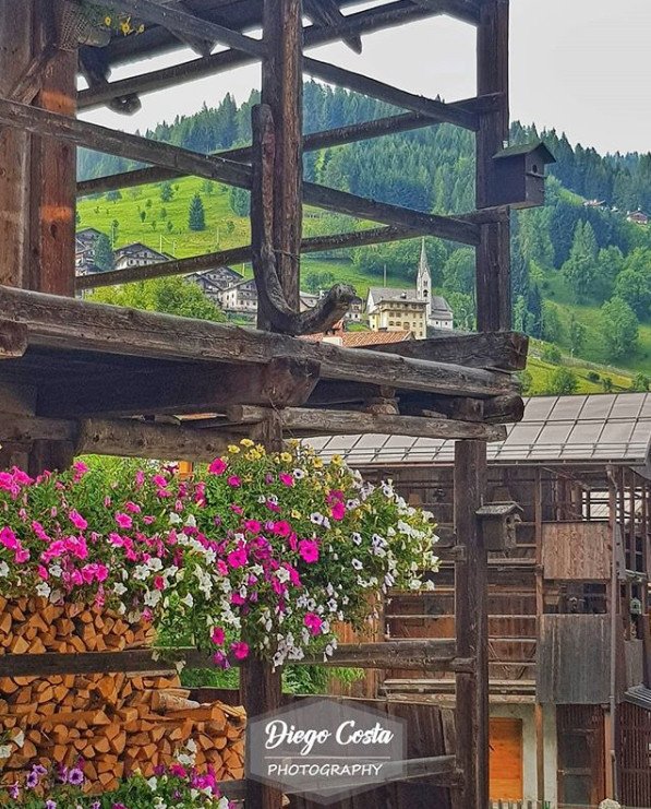 TurismoVeneto's tweet photo. Uno degli itinerari della #StradadeiFormaggi e dei sapori delle #DolomitiBellunesi attraversa la #Valbiois, dove nei tipici tabià di #Falcade si possono degustare le specialità casearie della zona https://t.co/xAHMOvPyKm #VisitVeneto (foto IG diego_costa97) https://t.co/br3Mf5KZur