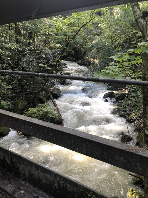 Twitterのコスプレ画像37