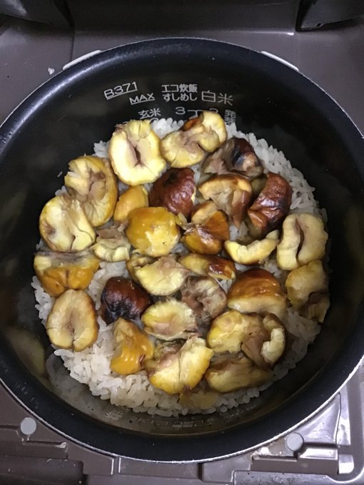 栗の中の虫 写真素材 5761923 フォトライブラリー Photolibrary