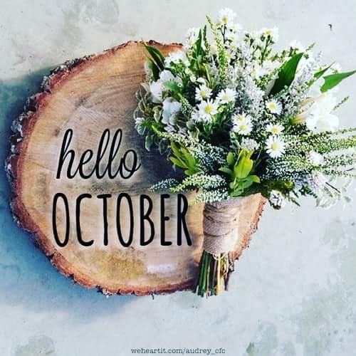 New month. New quarter lets make memories and finish this year on a high. #Autumn #businesstargets #makememories