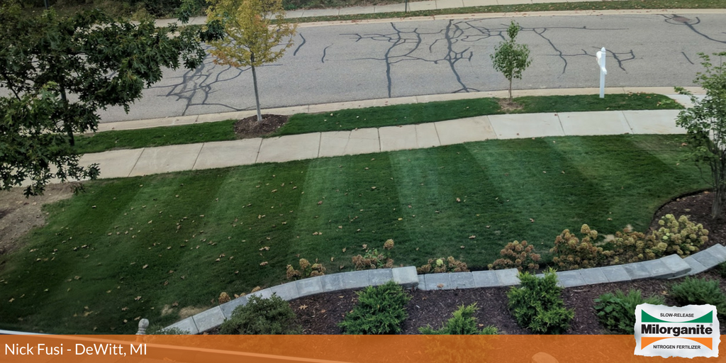 Milorganite's tweet photo. "We absolutely swear by using Milorganite because we can "spread and forget" and because it's largely slow-release, the grass/plants can use it when they need it. In addition, feeding the soil microorganisms is the real benefit to using Milorganite." Nick Fusi- DeWitt, MI https://t.co/mo8AQ4BxpB