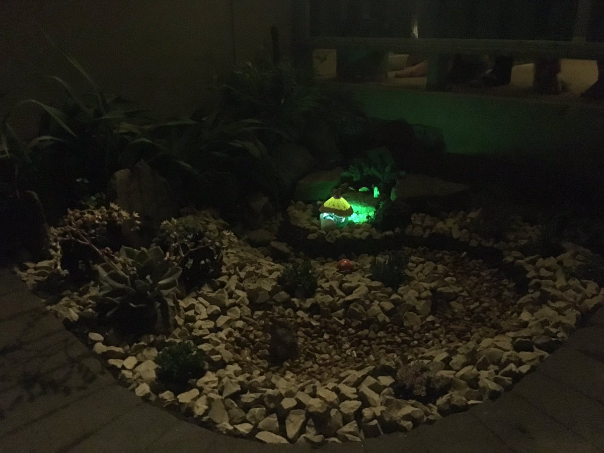 pudigan's tweet photo. A beautiful afternoon spent in the small front garden space that gets too much sun so it has been transformed into a succulent fairy garden. The fairies have already started to move in!! https://t.co/okM6hWvGkJ