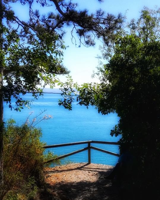 VisitFVG's tweet photo. Cartolina poetica dal #sentiero #Rilke #Sistiana 😍🚶♂️🌊 "Ci resta, forse, un albero la' sul pendio, da rivedere ogni giorno. Ci resta la strada di ieri, e la fedelta' viziata di un'abitudine che si trovo' bene con noi e rimase, non se ne ando'. Rilke" #FVGlive #slowFVG https://t.co/v0RXGWk5Fi