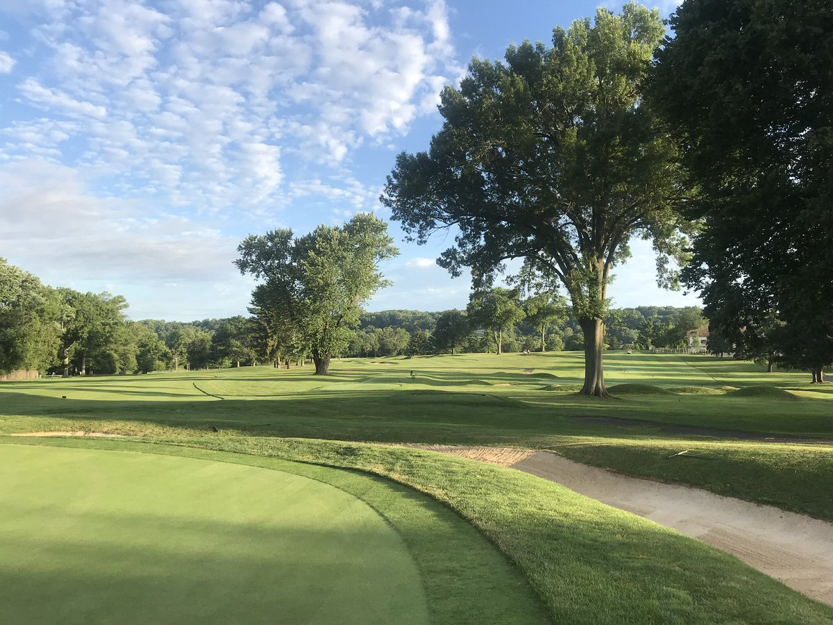 LuLuCountryClub's tweet photo. 🤔Collar ?- No collar? What’s your preference?
#LuLuCC1912
#vote
#fringecut https://t.co/UH26JL9TX6