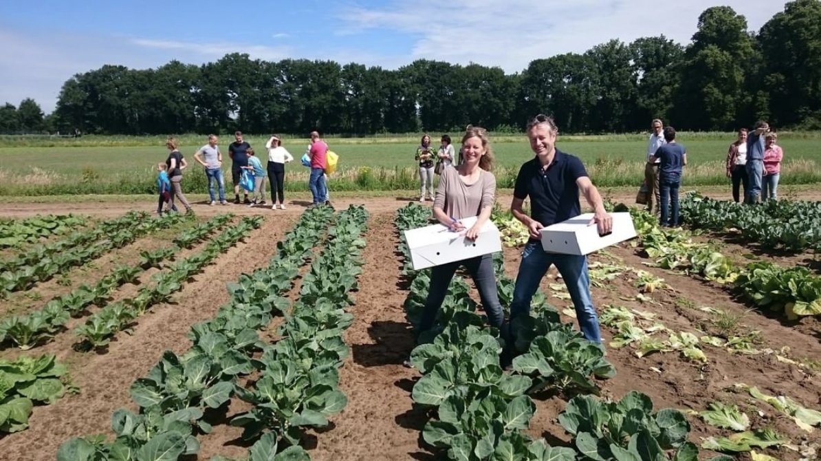 agricology's tweet image. Overcoming family farm conflicts, benefits of compost teas, preventing disease in apple orchards, how community-owned farms can work - it's all here in this recent podcast from @Farmerama_ goo.gl/RQRyDg #communityfarms #composttea #agroforestry