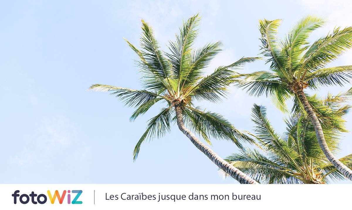 #MotivationMonday ! Un petit tour dans votre album ⛱️Caraïbes pour faire passer le blues de la rentrée ?

#PICTUREOFTHEDAY