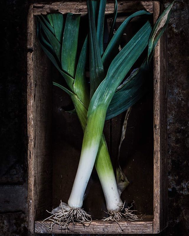 Deborah Husk tweet media