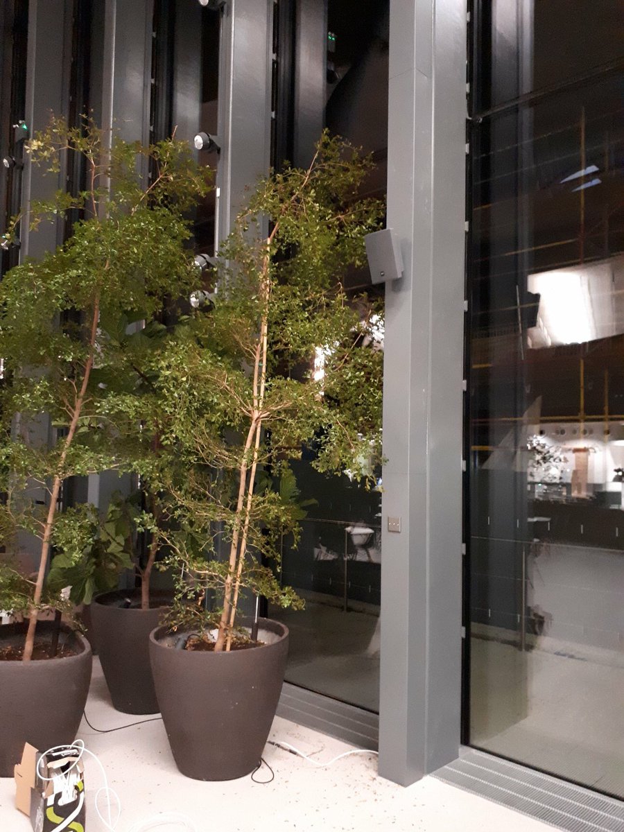 ReflexSPoint's tweet image. Reflex are almost complete with a public address system install at a large office in York. We have professionally sprayed the speakers before installing them on columns to blend in with the site decor. We have also hidden any cables for a clean &amp;amp; aesthetically pleasing finish