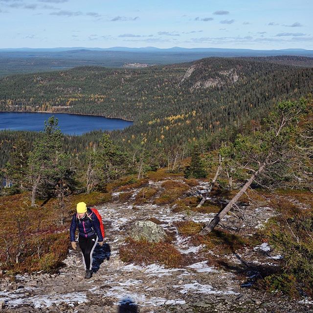 simovilhunen's tweet photo. Photo-A-Day 271/365: Valtavaara Views ~ You can see very far & wide from the top of Valtavaara, Ruka. The famous Karhunkierros trail runs along this ridge. I haven’t hiked it yet but it’s definitely on the list. #luonnonkoordinaatit #coordinatesofnature … https://t.co/unQ4p6MFpw https://t.co/QbCePUdbPc