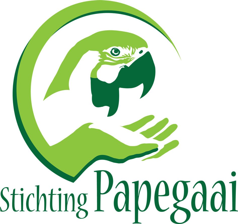Tijdens onze open dag zaterdag 6 okt. zal #StichtingPapegaai aanwezig zijn.
Zij verzorgen gratis inloop-workshops waarbij geïnteresseerden alles kunnen vragen over welzijn, gedrag en gezondheid van #papegaaien en #parkieten.
