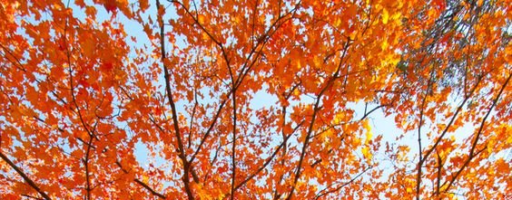 Air Yoga Studio tweet media