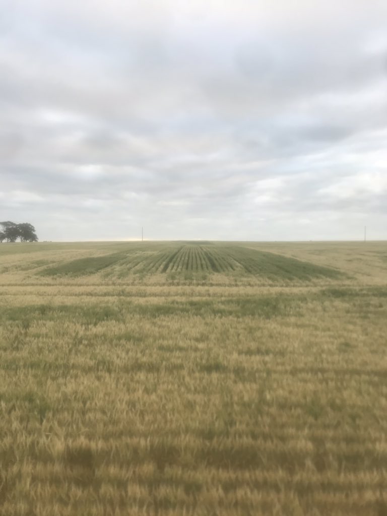 josh_pearse's tweet photo. Medium to heavy country deep rip trial. Paying off with a warm finish to the season. #hillside #deeprip https://t.co/8uQ5KoOpOY