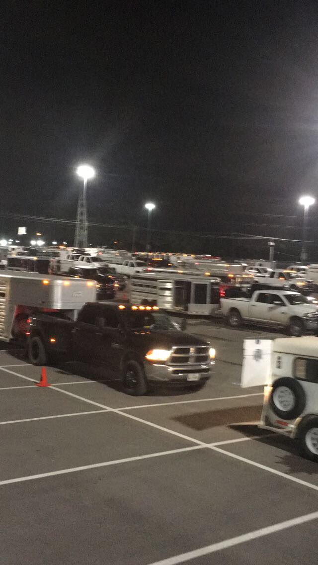 BrandiTLawrence's tweet photo. State Fair check in! Pulled an all nighter! Still waiting 2 get stall assignment Gunna be a long 3 days! @MagnoliaFFA @MagnoliaHighTX #ALLIN https://t.co/7EjL9epJY5