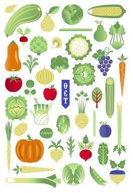 GardinerStuart's tweet photo. This #WorldVegetarianDay - get some #seasonal inspiration from the bountiful October harvest #autumn #seasonalfood #BritishFoodFortnight #seasonalguide #MeatlessMonday #meatfreemonday https://t.co/TNxjSUuG3M