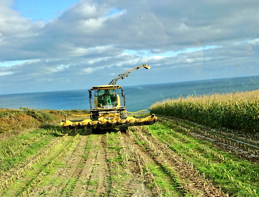 NoonanAgri's tweet photo. #fr920 #Maize18 #TheView #Harvest18 https://t.co/d1qtbKATgL