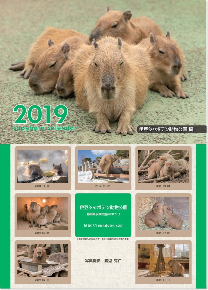 カピバラ写真家 渡辺克仁 Sur Twitter 伊豆シャボテン動物公園のカピバラ達を主役とした19年度のカレンダーを作りました 壁掛けa4サイズ 見開きa3 型で500円 税込 です 園内売店 Gift Shop アニマルマート にて店頭販売を行っております お手に取ってご覧 カピバラ写真家 渡辺克仁 Sur Twitter 伊豆シャボテン動物公園のカピバラ達を主役とした19年度のカレンダーを作りました 壁掛けa4サイズ 見開きa3 型で500円 税込 です 園内売店 Gift Shop アニマルマート にて店頭販売を行っております お手に取ってご覧