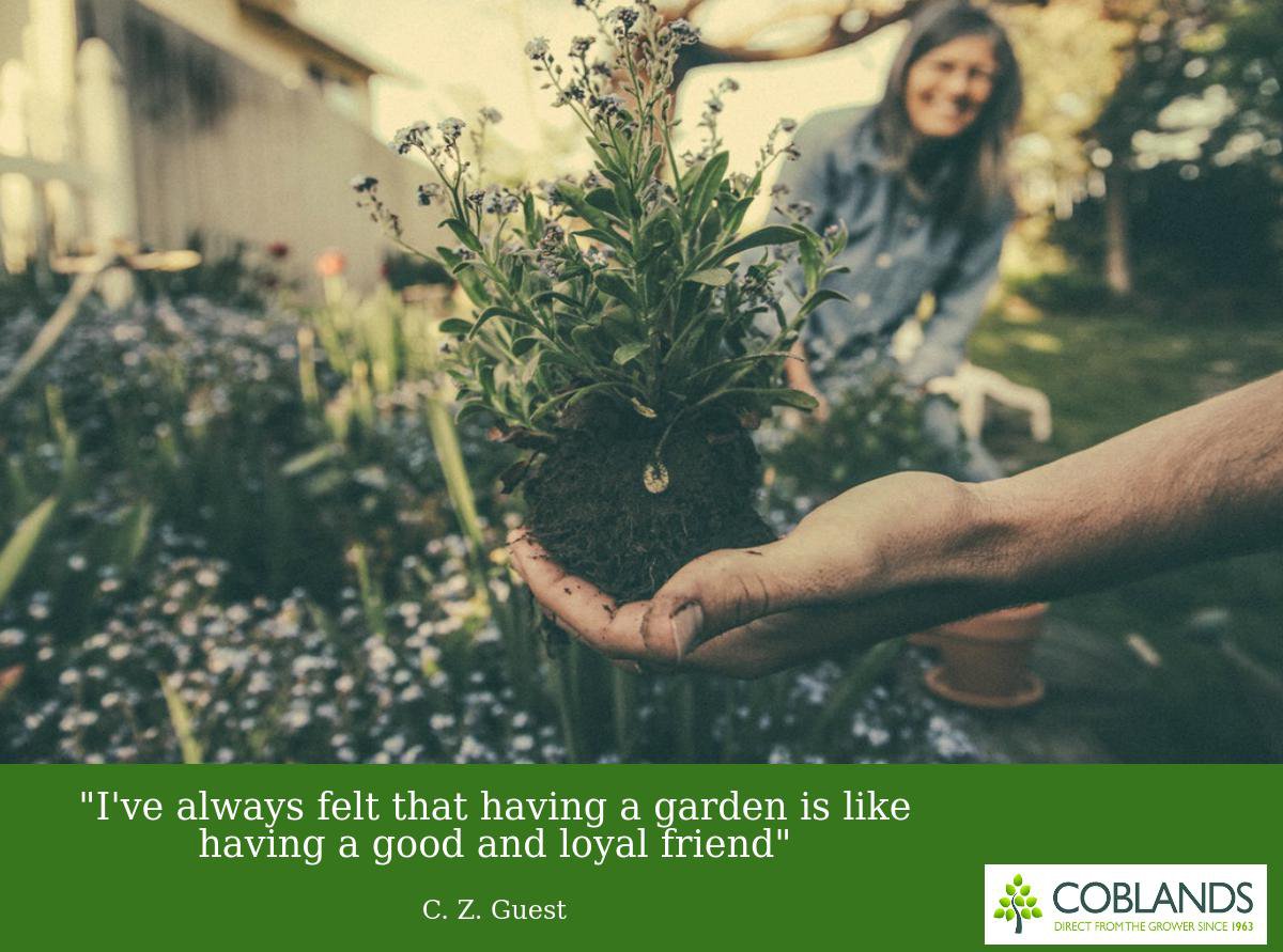 "I've always felt that having a garden is like having a good and loyal friend" C. Z. Guest #MondayMotivation