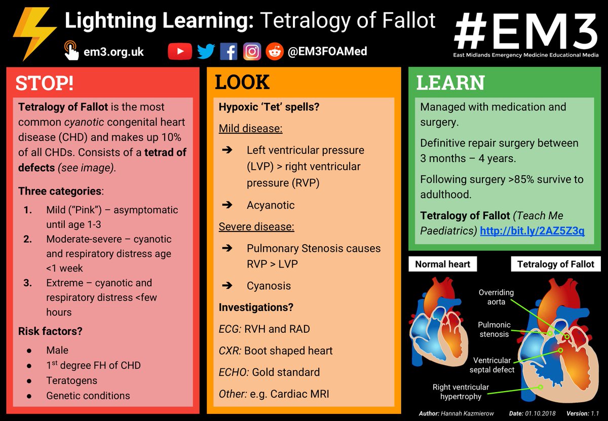 The #EM3 team is back from its holiday and hitting the ground running with a #LightningLearning collab with <a href="/TeachMePaeds/">TeachMePaediatrics</a> about Tetralogy of Fallot – one of the most common cyanotic congenital heart diseases seen on x-ray as a boot-shaped heart 👢❤️ em3.org.uk/foamed/1/10/20…