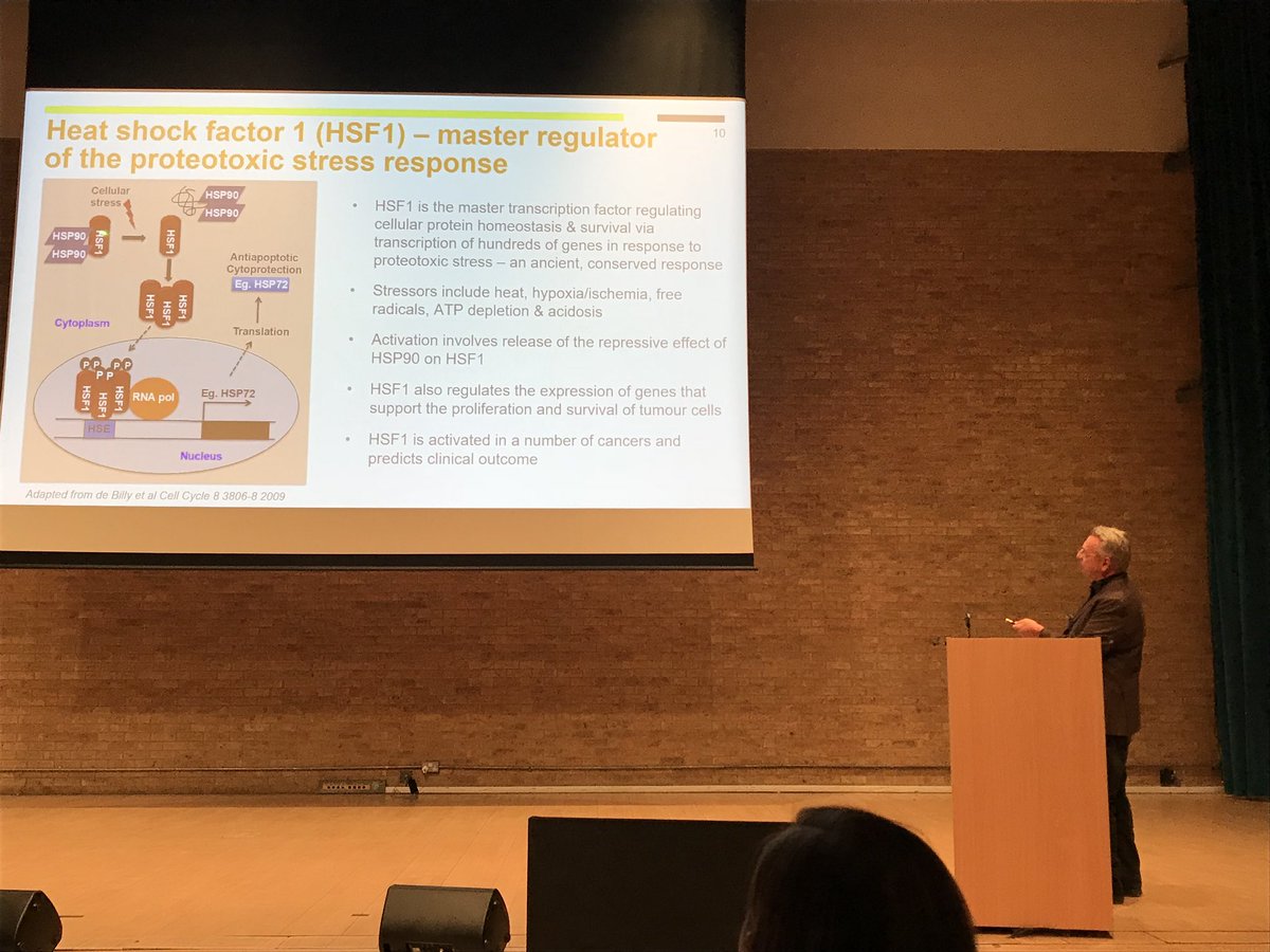 TheMilnerInst's tweet photo. @PaulWorkmanICR emphasizes the many partnerships in the journey towards a HSF1 inhibitor in cancer #MilnerSymp18 https://t.co/I2Za5dygYS