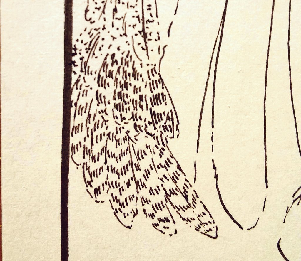 ほんの一部しか写らない博士の羽だけでこの有り様 
