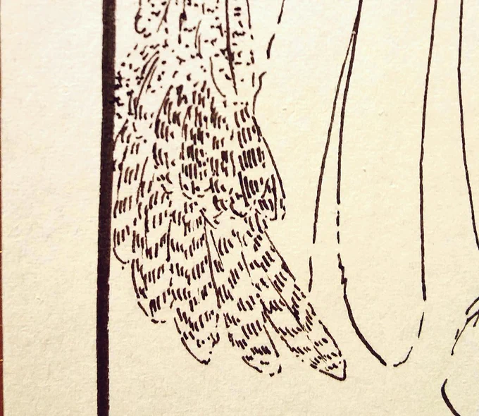 ほんの一部しか写らない博士の羽だけでこの有り様 