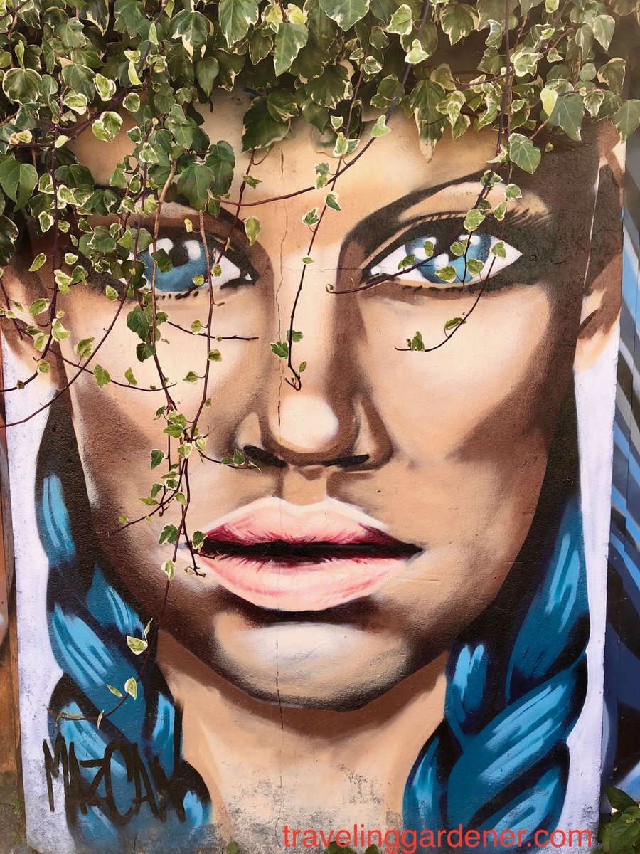 LindaSLarson2's tweet photo. Trafalgar Lane in Brighton is a walk of murals, a woman w/ ivy hair caught my eye https://t.co/yxs2ycleVn