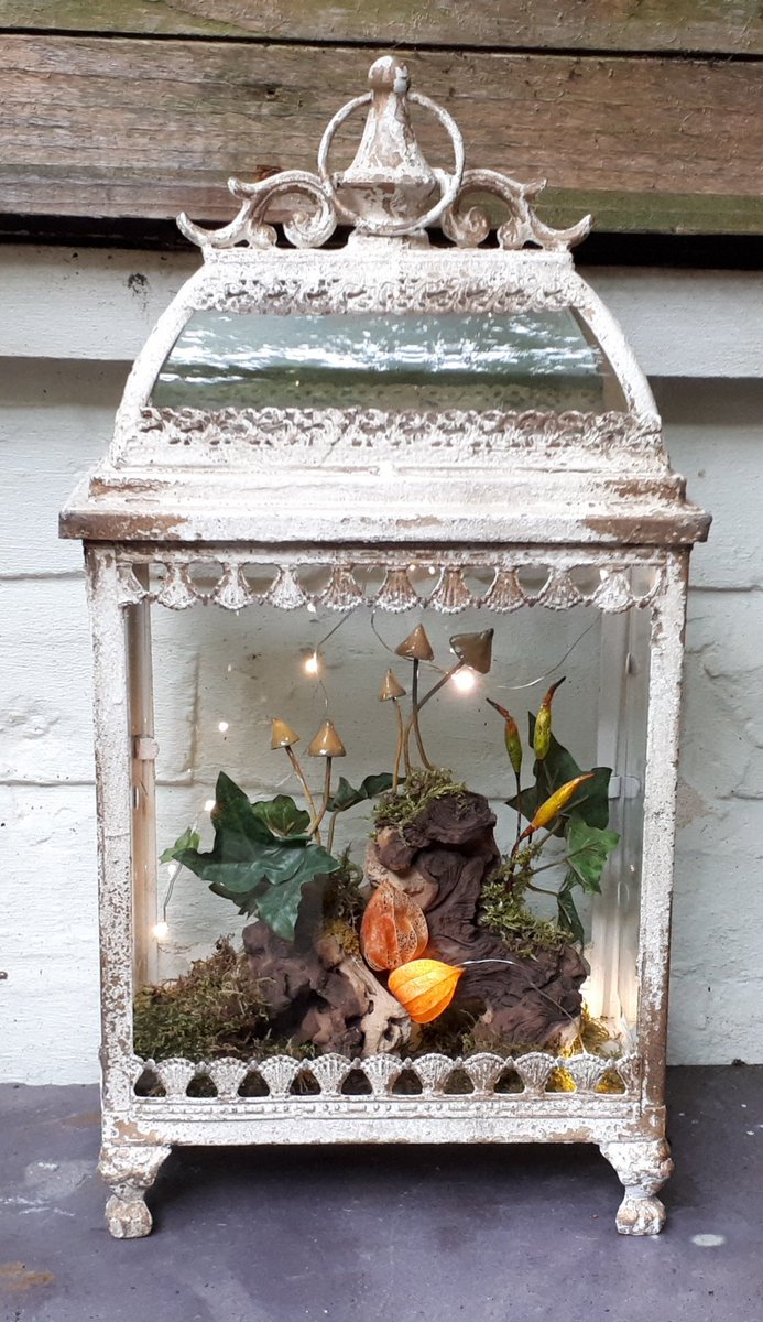 carlyebaines's tweet photo. Just been assembling these today
Can be fiddly 
#fungi walk plaque 
#FairyTail #lanterns 
#mushrooms #Art
Made by me
#nature https://t.co/ZemZ1wKLTp