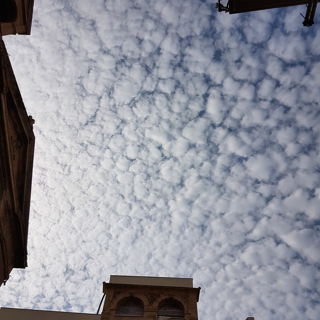 tizimp's tweet image. #beautiful #sky #cloudsheep #skylover #october #palermo