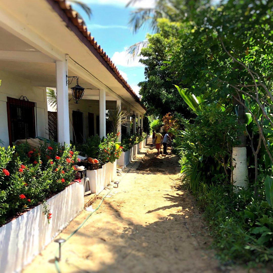 espadinpuerto's tweet photo. Trabajando duro en la nueva entrada a Espadin #restauranteespadin #villascarrizalillo #puertoescondido #hardatwork #renovations #renovaciones #tropicallandscape #paradise #restaurante #tropical #nuevo #trabajando. #mexico #nature #boutiquehotel #beachfront #playa #felizlunes https://t.co/5fTzDwLr9J