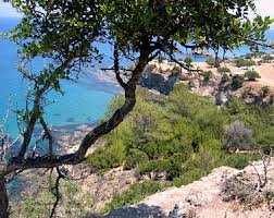 andreasdemetri8's tweet photo. Χερσόνησος του Ακάμα
Έπειτα από τριάντα-ένα χρόνια αναμονής και 12 Υπουργικών Αποφάσεων, το θέμα της Χερσονήσου του Ακάμα συνεχίζει να μαστίζει τον τόπο και ιδιαίτερα τους κατοίκους και ιδιοκτήτες της περιοχής. https://t.co/6vyVIdJcHt