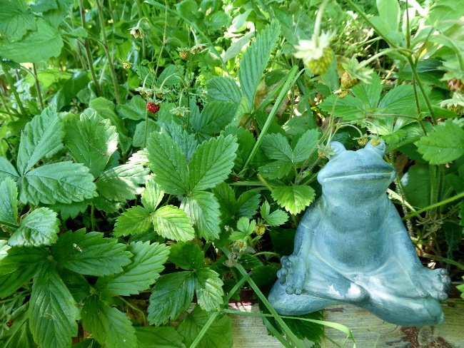 Our last ReNature Retreat of the year begins this Thursday, 4th - 7th October.

We have 3 spaces for this weekend in shared accommodation @ €300/person.

If you think you or a loved one would benefit from a weekend with no technology get in touch!

ecostayireland.com/eco-yoga-retre…