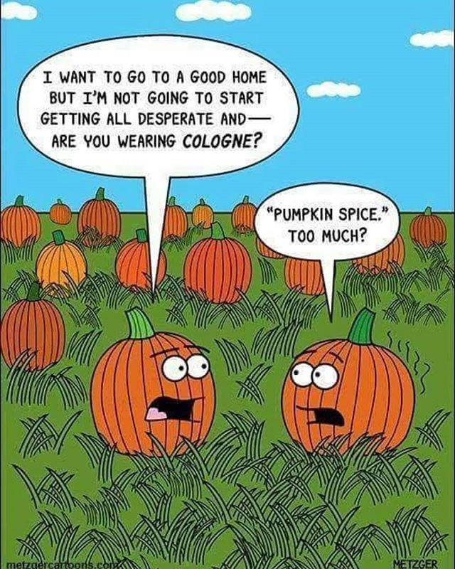 sales_beverly's tweet photo. Happy October Everyone! 🍊
We welcome you to come in and enjoy Our Fall Favorites🌻
Handmade Pumpkin Fudge, Local Harvest Candles, Vanilla Soaps, BathBombs, Cozy Sweaters, Wrap About Ponchos, Scarves & So much more...
#handmade #handmadegifts #fallfa… https://t.co/U2fvWPZvx9 https://t.co/uFl8ghHqhY