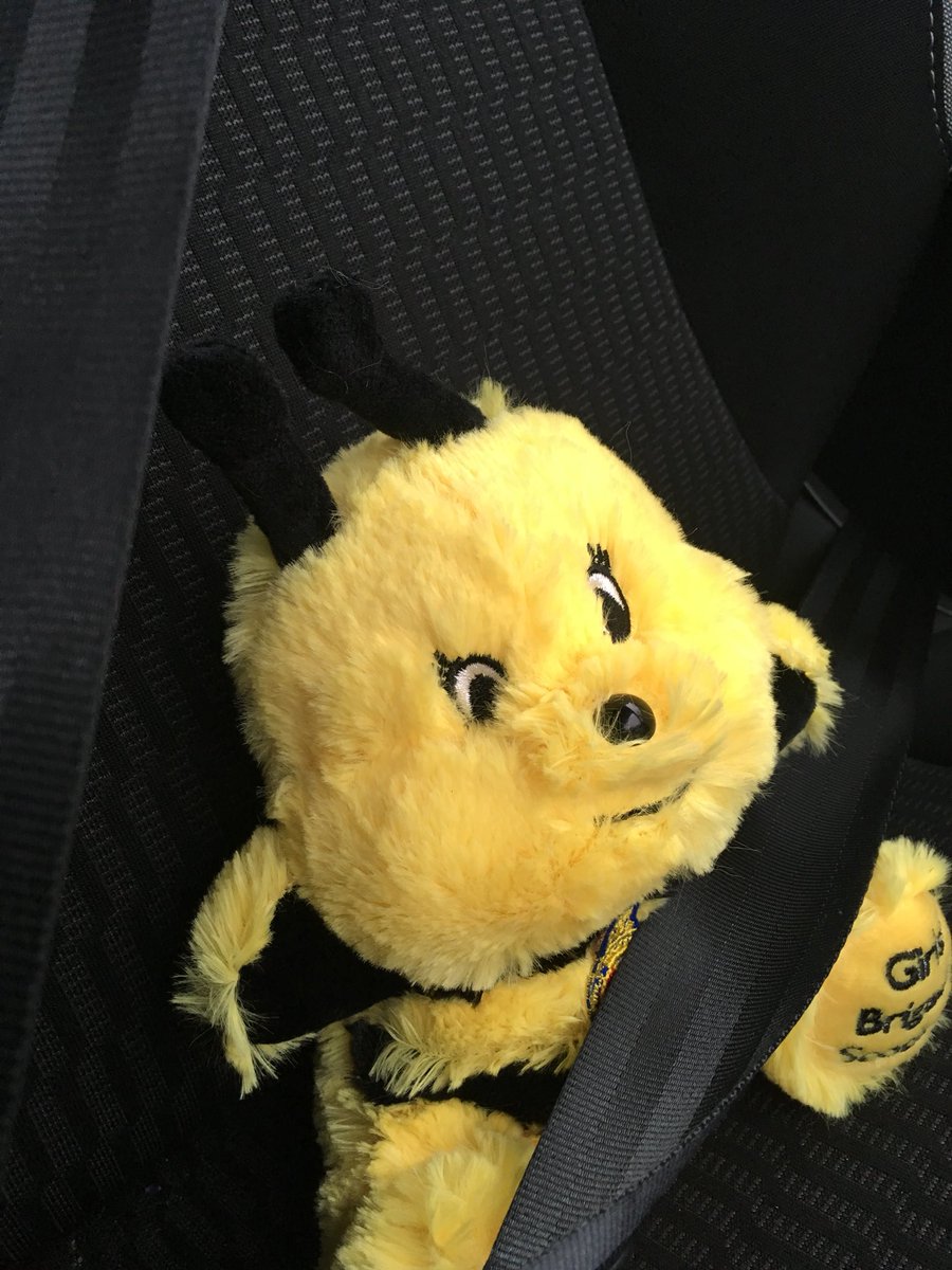 BeelindaGb's tweet photo. Off to GB yay!! #gbscotland #Ambassabees #125years https://t.co/Hm6q7yusVd