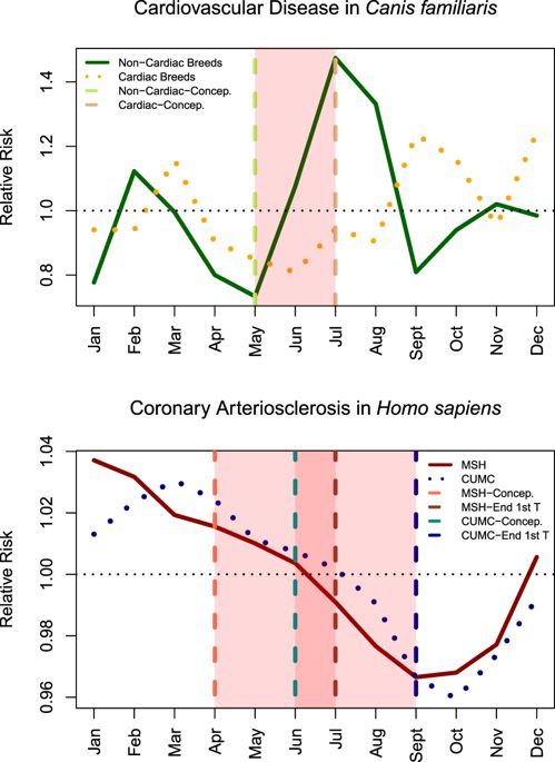 The month a dog is born can influence how prone they are to cardiovascular disease later in life!

Cardiovascular Disease Risk Varies by Birth Month in Canines buff.ly/2NSAXAF