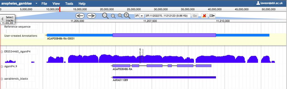 VBannotator's tweet image. Reviewing old #Anopheles #gambiae predictions and there seems to be a systematic issue with the mis-prediction of in-frame introns. Here&apos;s a couple of examples. #VBannotation