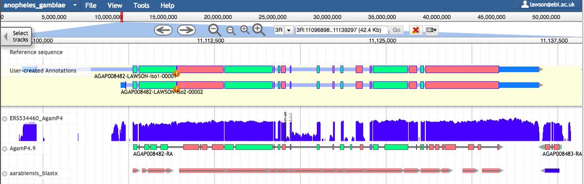 VBannotator's tweet image. Reviewing old #Anopheles #gambiae predictions and there seems to be a systematic issue with the mis-prediction of in-frame introns. Here&apos;s a couple of examples. #VBannotation