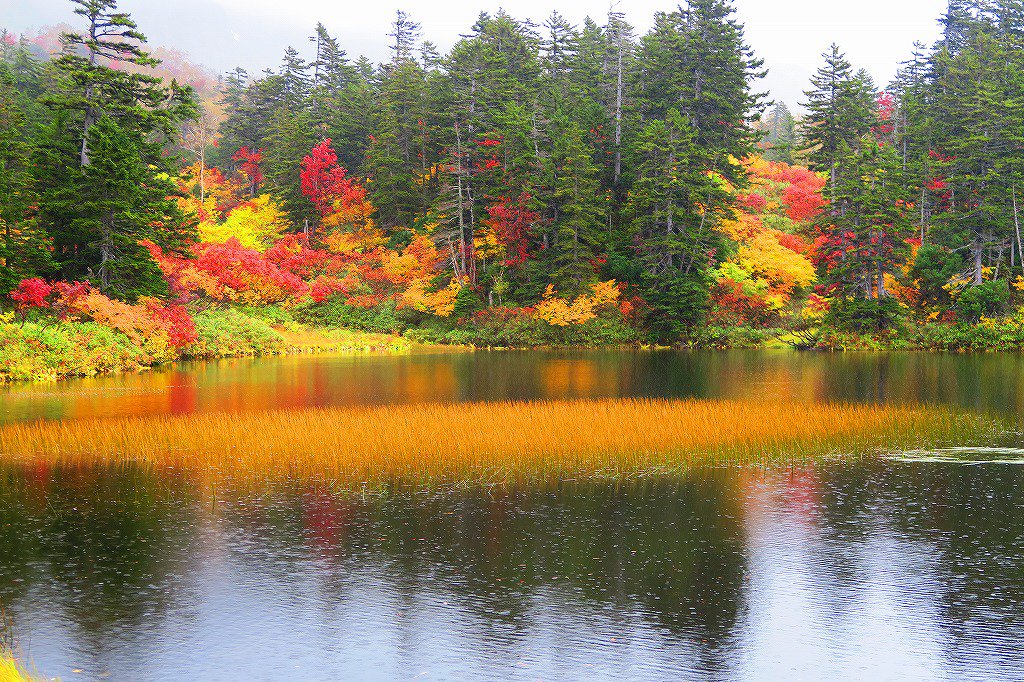 ট ইট র Moritaya 北海道 紅葉 旅の写真 9 23 日 大雪高原温泉沼めぐり登山 緑沼 北海道に行こう 行って応援しよう 観光で応援しよう 元気です北海道 大雪高原温泉沼めぐり 緑沼