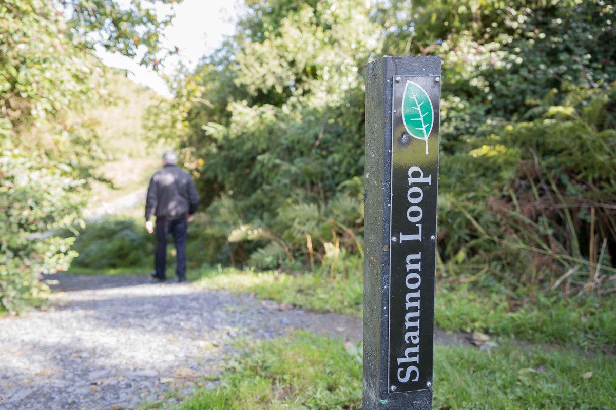 ClareCoCo's tweet photo. Did you know that there is a 5km walking and cycle trail in Shannon that takes in the town's green spaces and scenic location on the banks of the Estuary? Enjoy the Shannon Loop today
#CCCrecreation https://t.co/TsChUxAcib