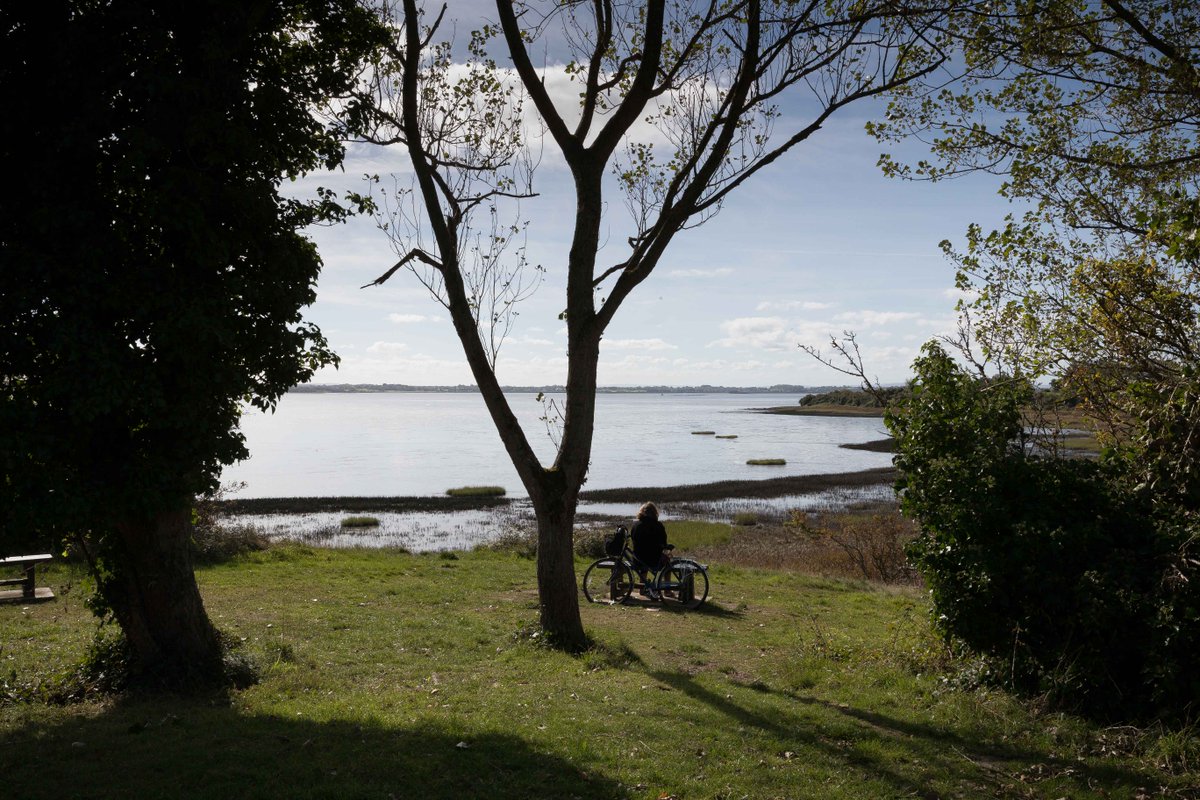 ClareCoCo's tweet photo. Did you know that there is a 5km walking and cycle trail in Shannon that takes in the town's green spaces and scenic location on the banks of the Estuary? Enjoy the Shannon Loop today
#CCCrecreation https://t.co/TsChUxAcib