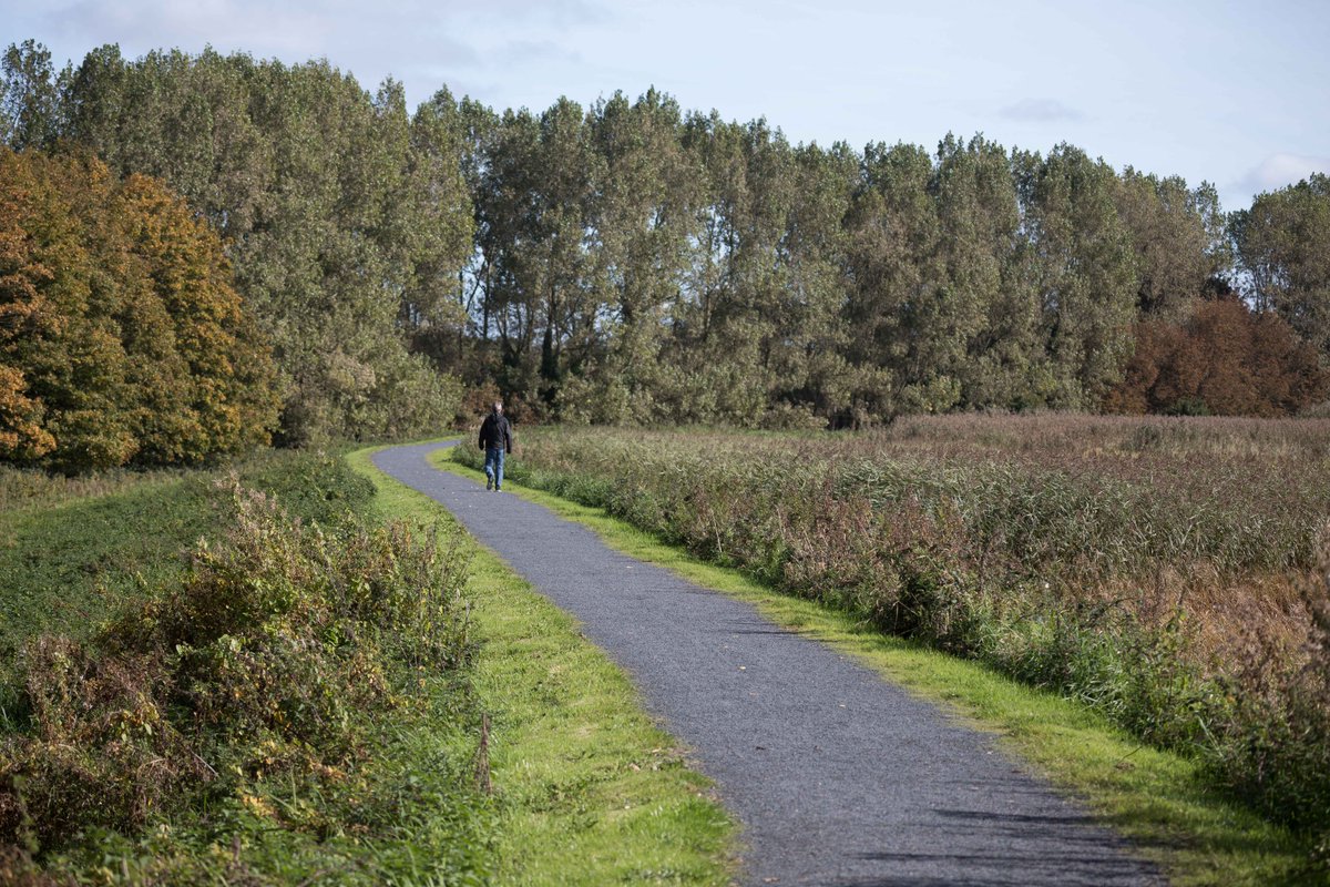 ClareCoCo's tweet photo. Did you know that there is a 5km walking and cycle trail in Shannon that takes in the town's green spaces and scenic location on the banks of the Estuary? Enjoy the Shannon Loop today
#CCCrecreation https://t.co/TsChUxAcib