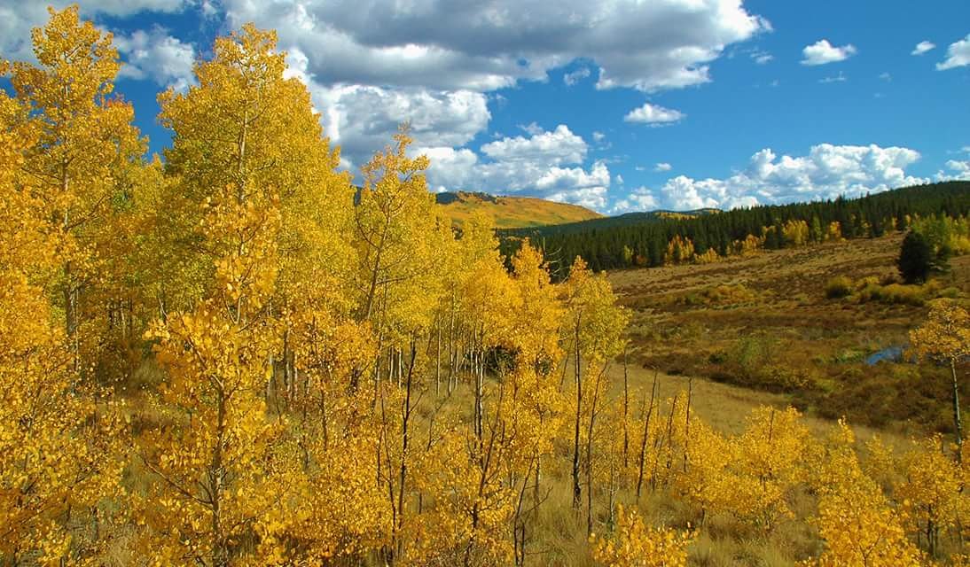 Colorado's tweet photo. "@ThomasWStevens1: @Colorado It's fall in the Colorado mountains" https://t.co/ER8sYp3pkk